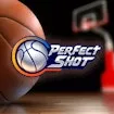 Perfect Shot